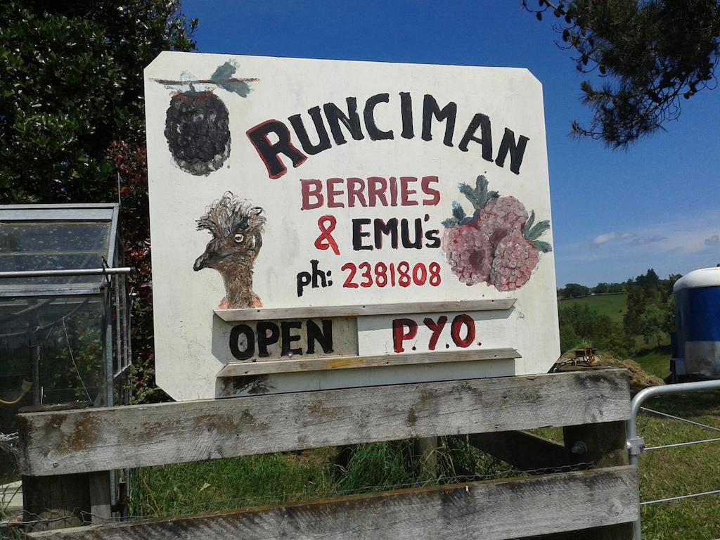Runciman Berries And Emus B&B Ramarama Exterior photo
