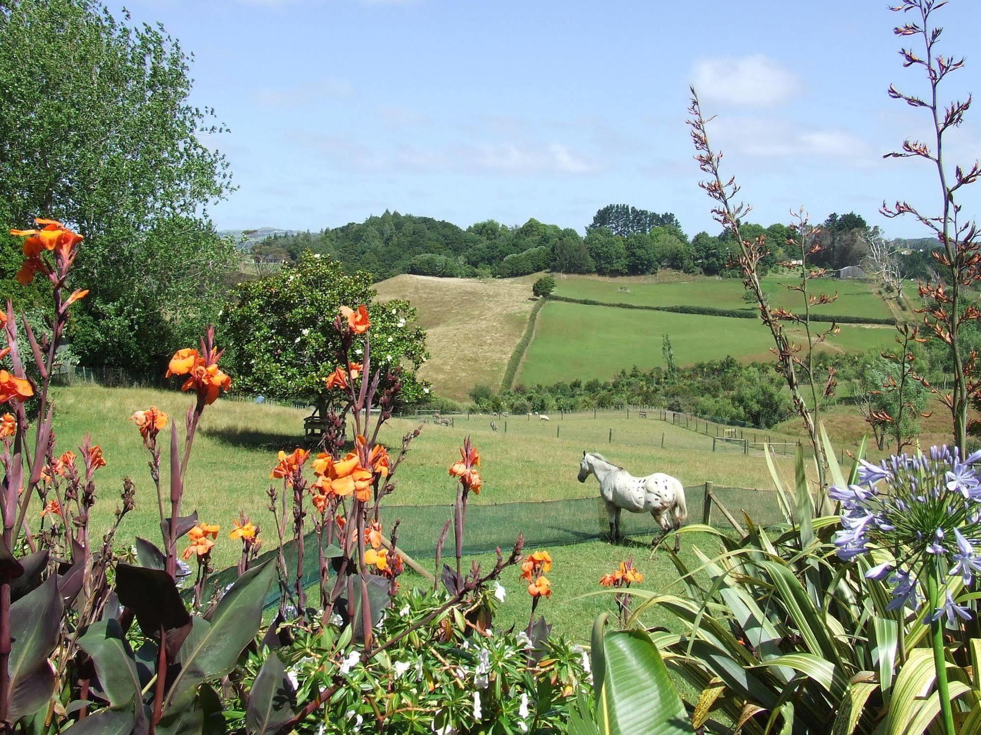 Runciman Berries And Emus B&B Ramarama Exterior photo