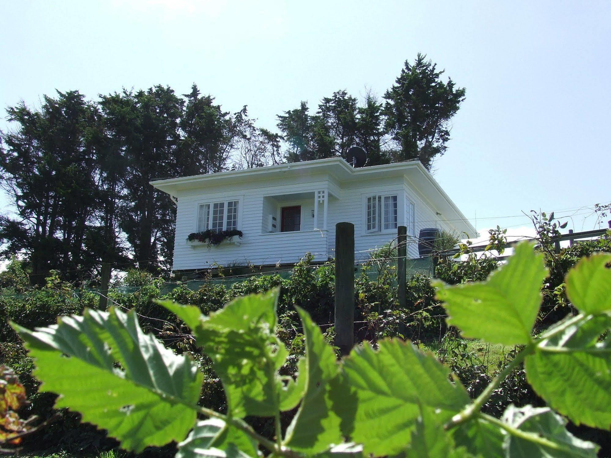 Runciman Berries And Emus B&B Ramarama Exterior photo